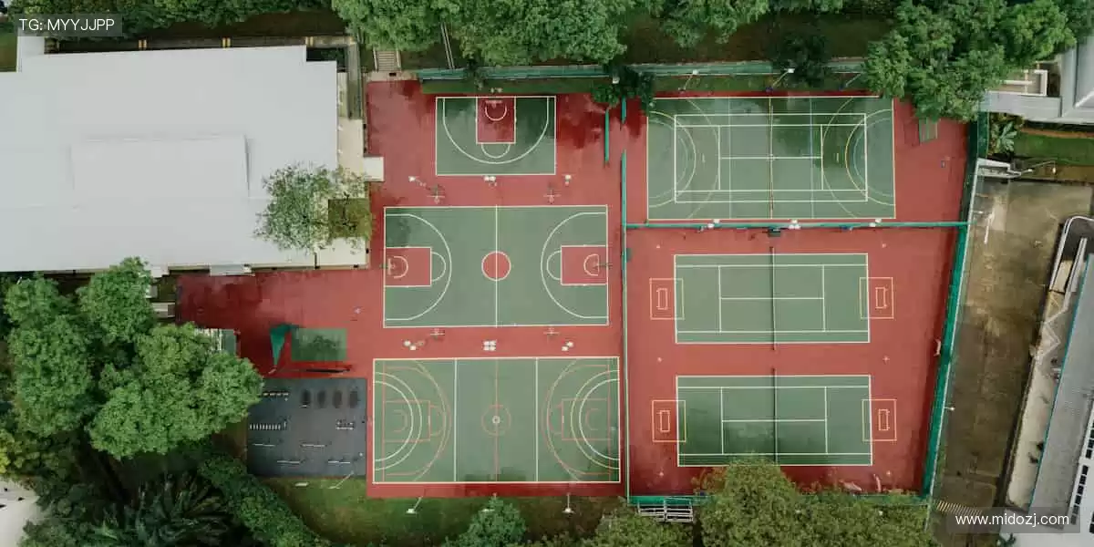 🏀实时数据加持，解读比赛新视角！